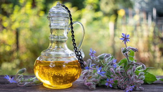 L'huile de bourrache : un allié pour lutter contre l'inflammation et le vieillissement - Ethnilink
