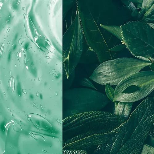 Centifolia La Nature Au Service De Votre Peau